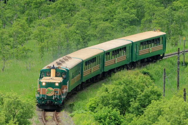 釧路湿原のノロッコ号でゆっくり観光を楽しむ